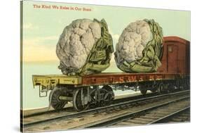 Giant Cauliflower on Flatbed-null-Stretched Canvas