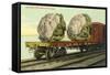 Giant Cauliflower on Flatbed-null-Framed Stretched Canvas