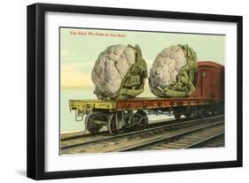 Giant Cauliflower on Flatbed-null-Framed Art Print