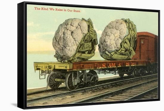 Giant Cauliflower on Flatbed-null-Framed Stretched Canvas