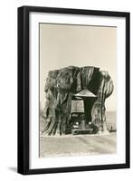 Giant Cedar Stump, Pacific Highway, Washington-null-Framed Art Print