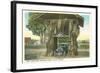 Giant Cedar Stump, Pacific Highway, Washington-null-Framed Art Print