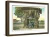 Giant Cedar Stump, Pacific Highway, Washington-null-Framed Art Print