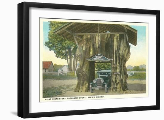 Giant Cedar Stump, Pacific Highway, Washington-null-Framed Art Print