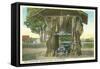 Giant Cedar Stump, Pacific Highway, Washington-null-Framed Stretched Canvas