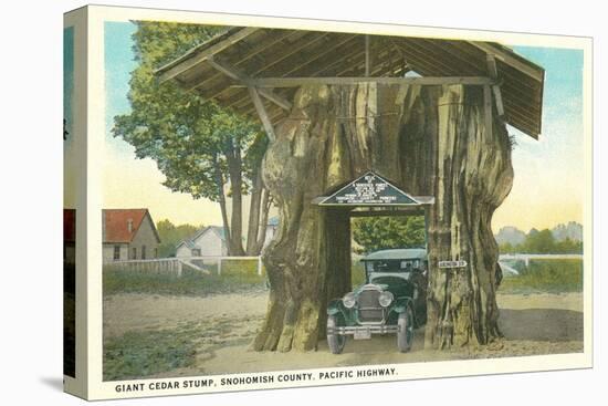 Giant Cedar Stump, Pacific Highway, Washington-null-Stretched Canvas