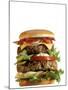 Giant Cheeseburger-null-Mounted Photographic Print