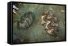 Giant Clam Farm-Reinhard Dirscherl-Framed Stretched Canvas