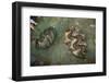 Giant Clam Farm-Reinhard Dirscherl-Framed Photographic Print