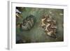 Giant Clam Farm-Reinhard Dirscherl-Framed Photographic Print