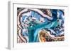 Giant clam mantle detail, Red Sea, Egypt.-Lewis Jefferies-Framed Photographic Print