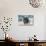 Giant Clam (Tridacna Squamosa)-Reinhard Dirscherl-Photographic Print displayed on a wall