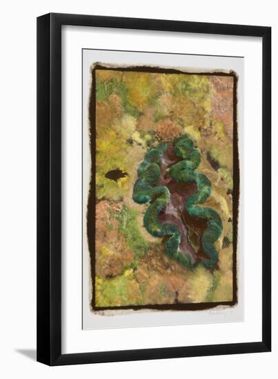 Giant Clam-Theo Westenberger-Framed Photographic Print