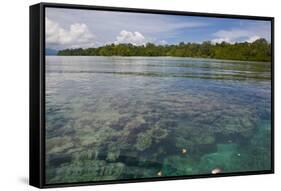 Giant Clams in the Clear Waters of the Marovo Lagoon, Solomon Islands, Pacific-Michael Runkel-Framed Stretched Canvas