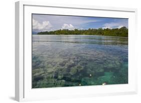 Giant Clams in the Clear Waters of the Marovo Lagoon, Solomon Islands, Pacific-Michael Runkel-Framed Photographic Print