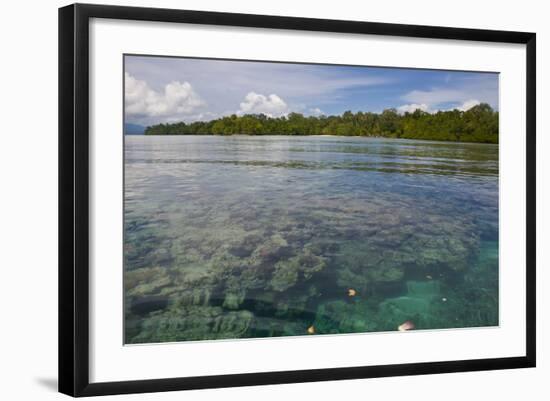 Giant Clams in the Clear Waters of the Marovo Lagoon, Solomon Islands, Pacific-Michael Runkel-Framed Photographic Print