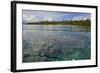 Giant Clams in the Clear Waters of the Marovo Lagoon, Solomon Islands, Pacific-Michael Runkel-Framed Photographic Print