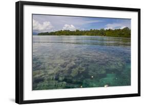 Giant Clams in the Clear Waters of the Marovo Lagoon, Solomon Islands, Pacific-Michael Runkel-Framed Photographic Print