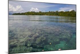 Giant Clams in the Clear Waters of the Marovo Lagoon, Solomon Islands, Pacific-Michael Runkel-Mounted Photographic Print