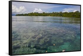 Giant Clams in the Clear Waters of the Marovo Lagoon, Solomon Islands, Pacific-Michael Runkel-Framed Stretched Canvas