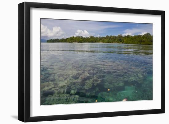 Giant Clams in the Clear Waters of the Marovo Lagoon, Solomon Islands, Pacific-Michael Runkel-Framed Photographic Print