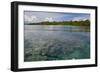 Giant Clams in the Clear Waters of the Marovo Lagoon, Solomon Islands, Pacific-Michael Runkel-Framed Photographic Print