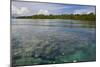 Giant Clams in the Clear Waters of the Marovo Lagoon, Solomon Islands, Pacific-Michael Runkel-Mounted Photographic Print