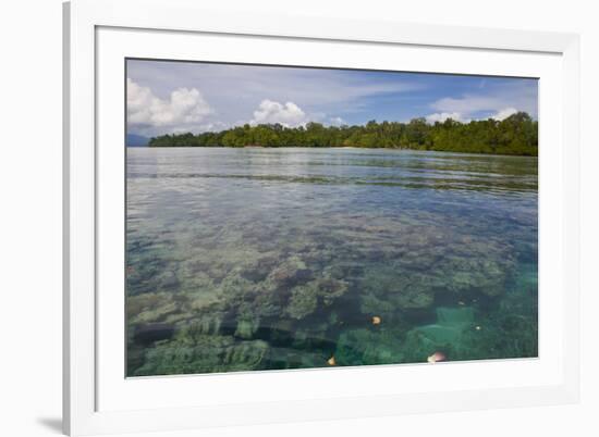 Giant Clams in the Clear Waters of the Marovo Lagoon, Solomon Islands, Pacific-Michael Runkel-Framed Photographic Print