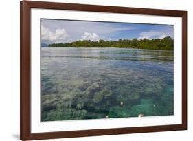 Giant Clams in the Clear Waters of the Marovo Lagoon, Solomon Islands, Pacific-Michael Runkel-Framed Photographic Print