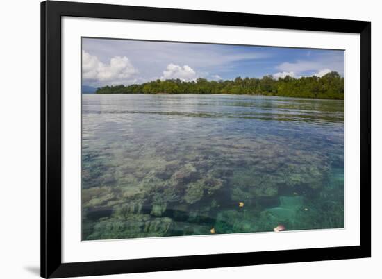 Giant Clams in the Clear Waters of the Marovo Lagoon, Solomon Islands, Pacific-Michael Runkel-Framed Photographic Print