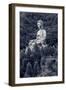 Giant Copper Buddha Statue, Shot at Jeng De Temple, Puli Town, Taiwan, Asia.-elwynn-Framed Photographic Print