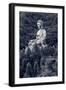 Giant Copper Buddha Statue, Shot at Jeng De Temple, Puli Town, Taiwan, Asia.-elwynn-Framed Photographic Print