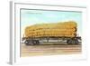 Giant Corn Cob on Flatbed, Washington-null-Framed Art Print