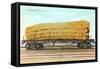 Giant Corn Cob on Flatbed, Washington-null-Framed Stretched Canvas