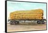 Giant Corn Cob on Flatbed, Washington-null-Framed Stretched Canvas