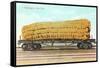 Giant Corn Cob on Flatbed, Washington-null-Framed Stretched Canvas