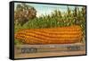 Giant Corn on Flatbed-null-Framed Stretched Canvas