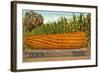 Giant Corn on Flatbed-null-Framed Art Print