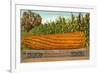 Giant Corn on Flatbed-null-Framed Art Print