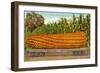 Giant Corn on Flatbed-null-Framed Art Print