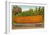 Giant Corn on Flatbed-null-Framed Art Print