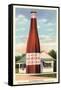 Giant Cranberry Cocktail Bottle-null-Framed Stretched Canvas