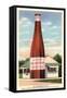 Giant Cranberry Cocktail Bottle-null-Framed Stretched Canvas