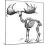Giant Deer, 19th Century Artwork-Science Photo Library-Mounted Photographic Print