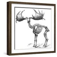 Giant Deer, 19th Century Artwork-Science Photo Library-Framed Photographic Print