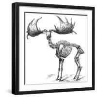 Giant Deer, 19th Century Artwork-Science Photo Library-Framed Photographic Print