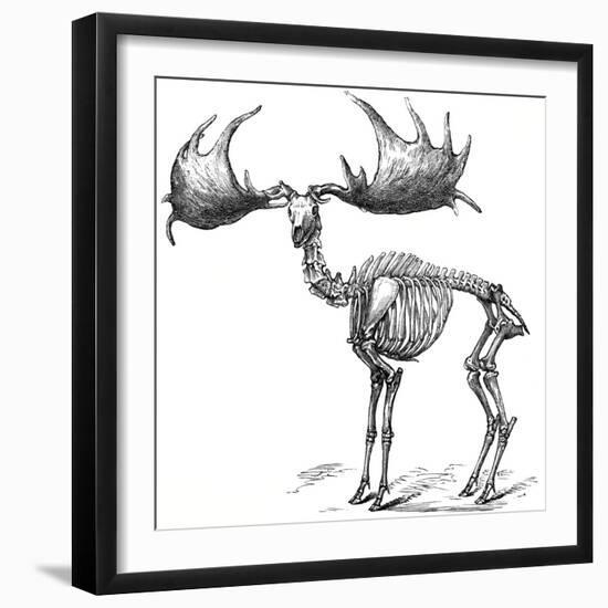 Giant Deer, 19th Century Artwork-Science Photo Library-Framed Photographic Print