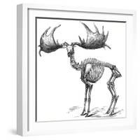 Giant Deer, 19th Century Artwork-Science Photo Library-Framed Photographic Print