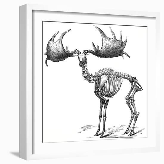 Giant Deer, 19th Century Artwork-Science Photo Library-Framed Photographic Print