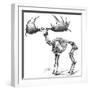 Giant Deer, 19th Century Artwork-Science Photo Library-Framed Photographic Print